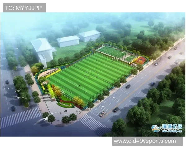 足球场建设与运营中的政府补贴政策分析及其对地方经济的影响探讨